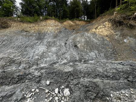 sanacija plazov (10)